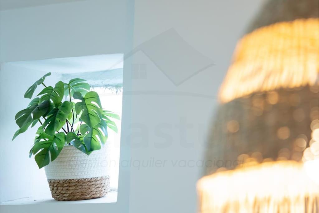 Camino By Silastur Apartamento Gijón