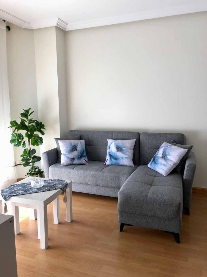 Apartment Schultz Gijon