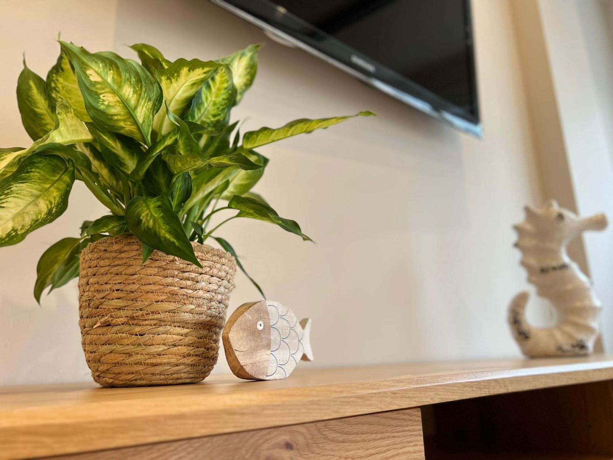 El Rincon De San Lorenzo Apartamento Gijón