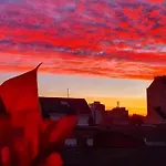 Life Magenta Gijon
