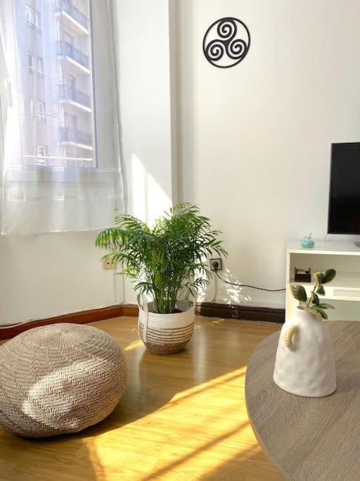 Trisquel Apartamento Gijón