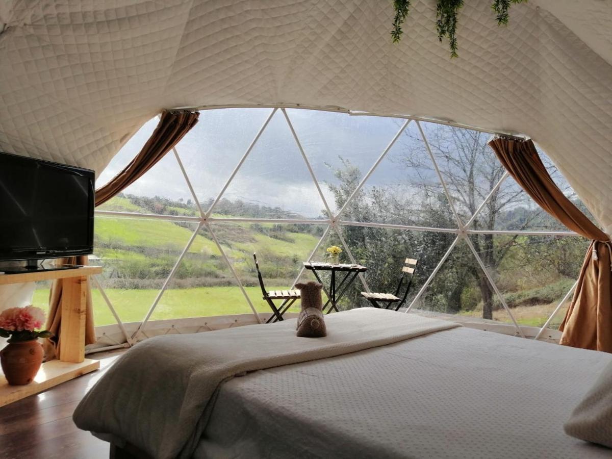 Glamping Quintana Luxury tent