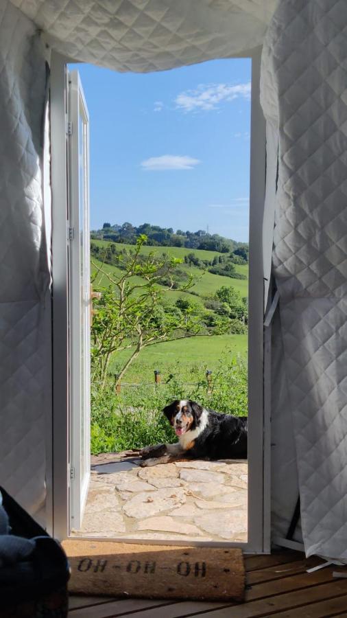 Luxury tent Glamping Quintana