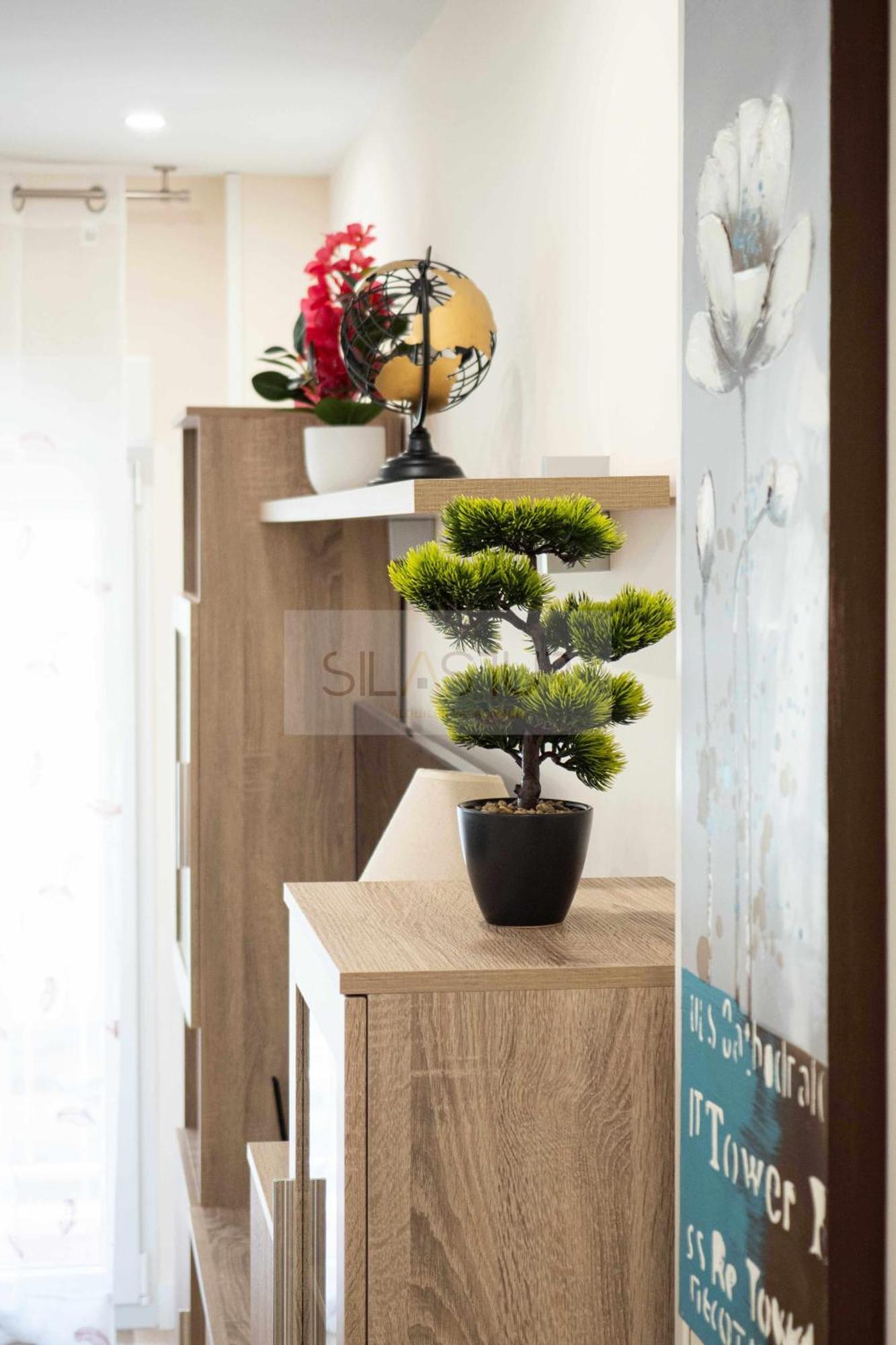 Apartment Cabrales Gijon