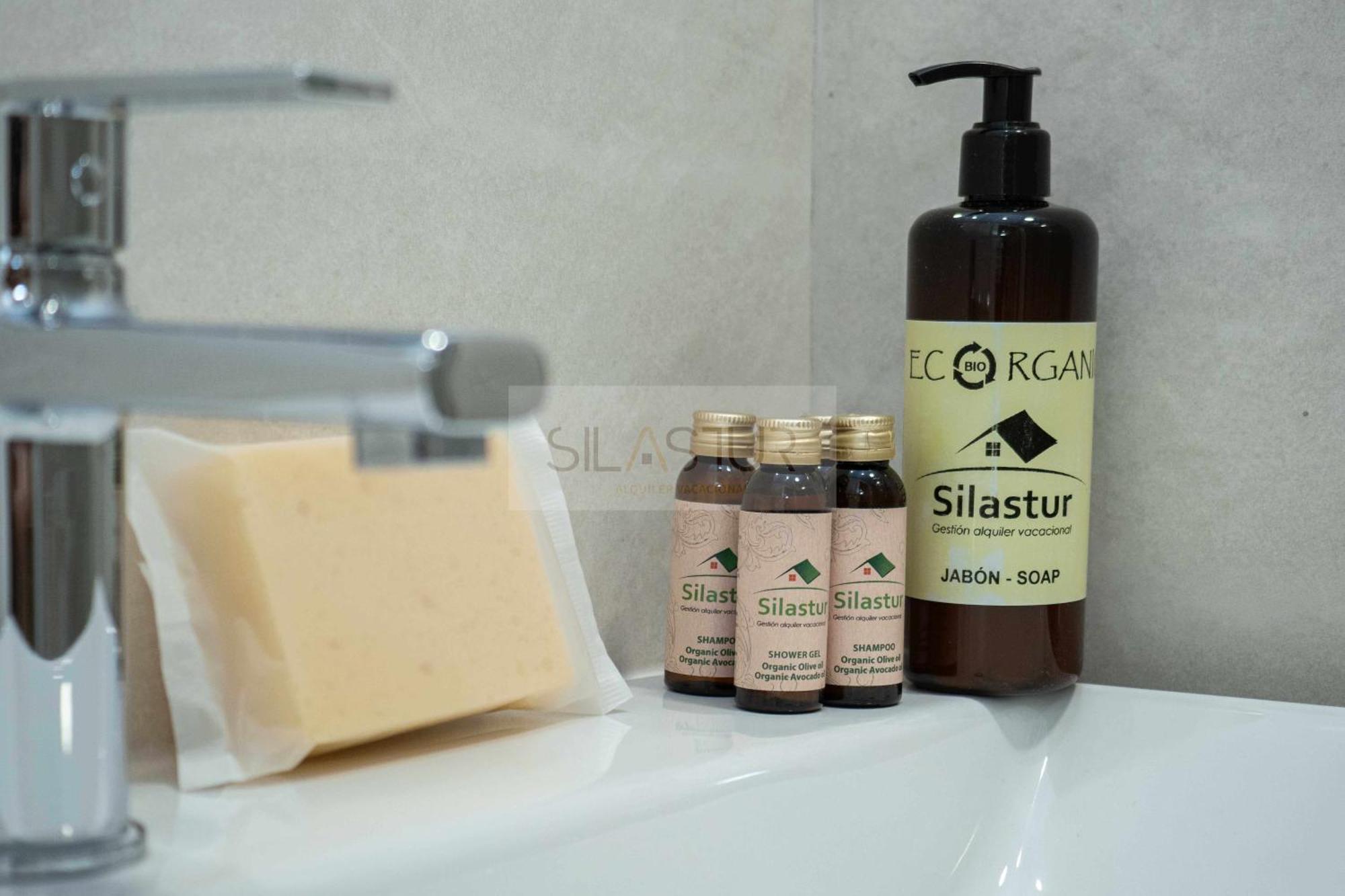 Apartment Cabrales Gijon