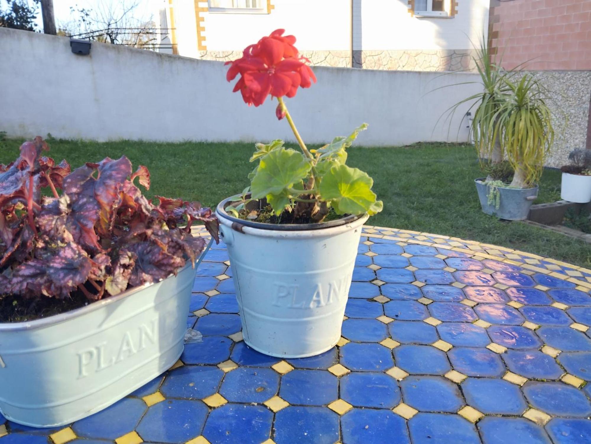 Holiday home El Hogarin De Veronica Gijon