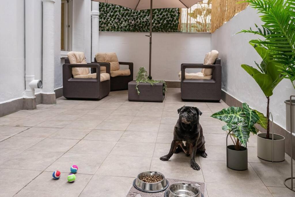El Patio De Schulz