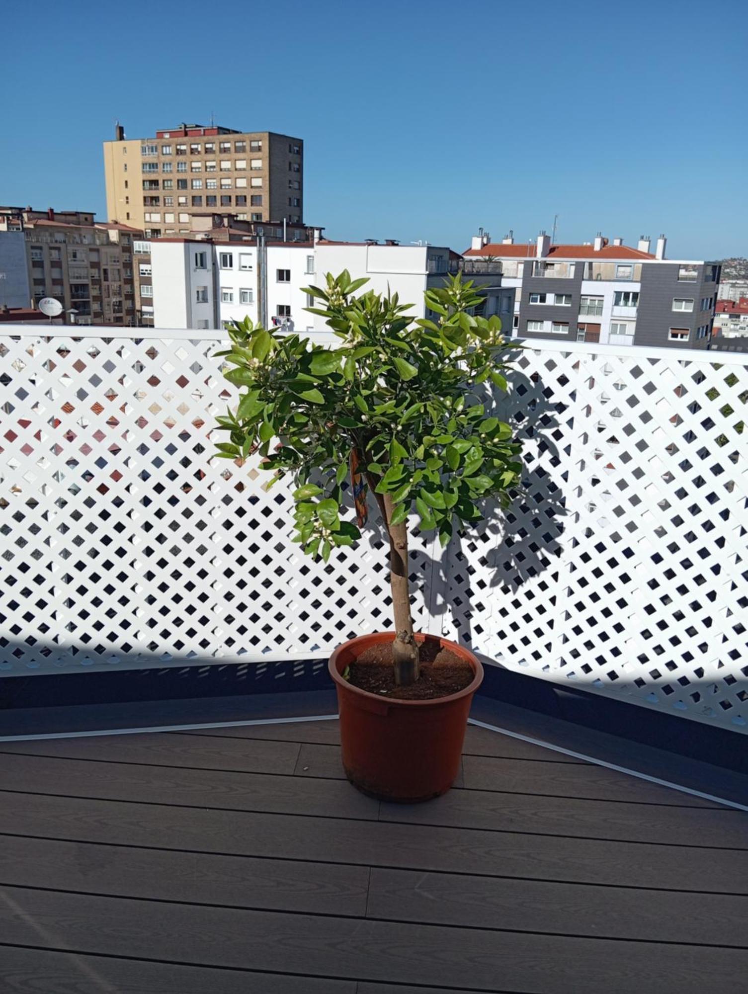 Apartment El Capricho La Terraza, Gran Terraza Con Vistas Y Parking Incluido *