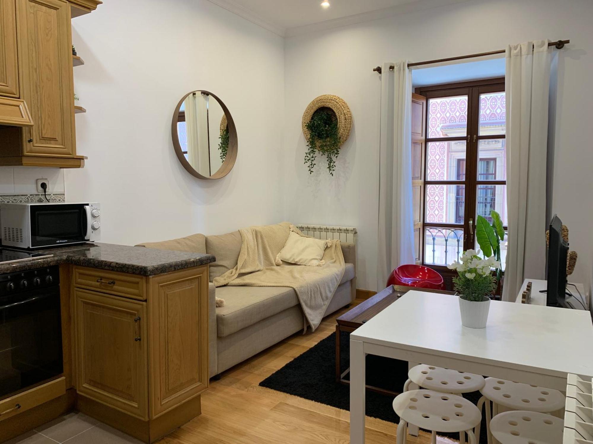 Myhousespain - Acogedor Plaza Mayor 1