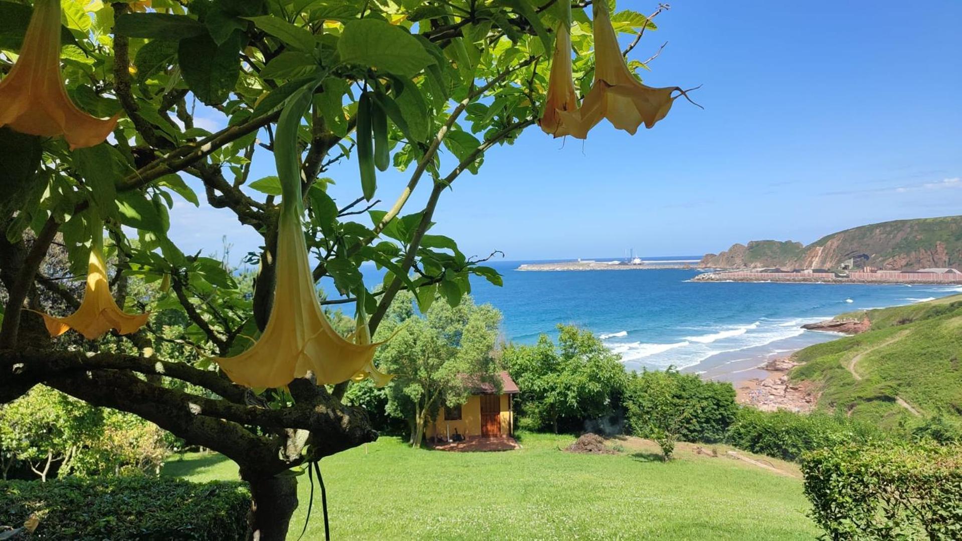 Villa Hola Gijon