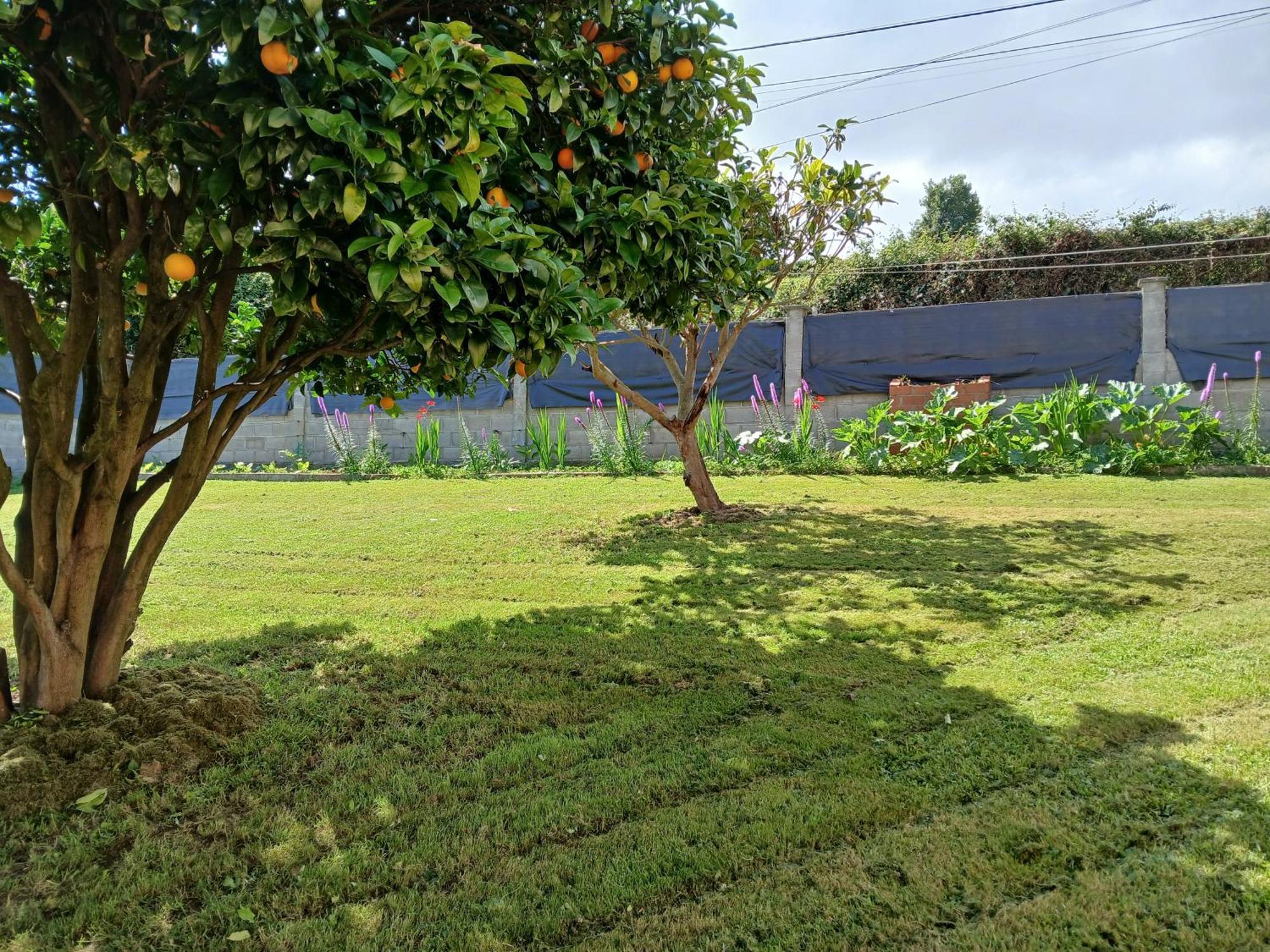 Casa Naranxales Holiday home