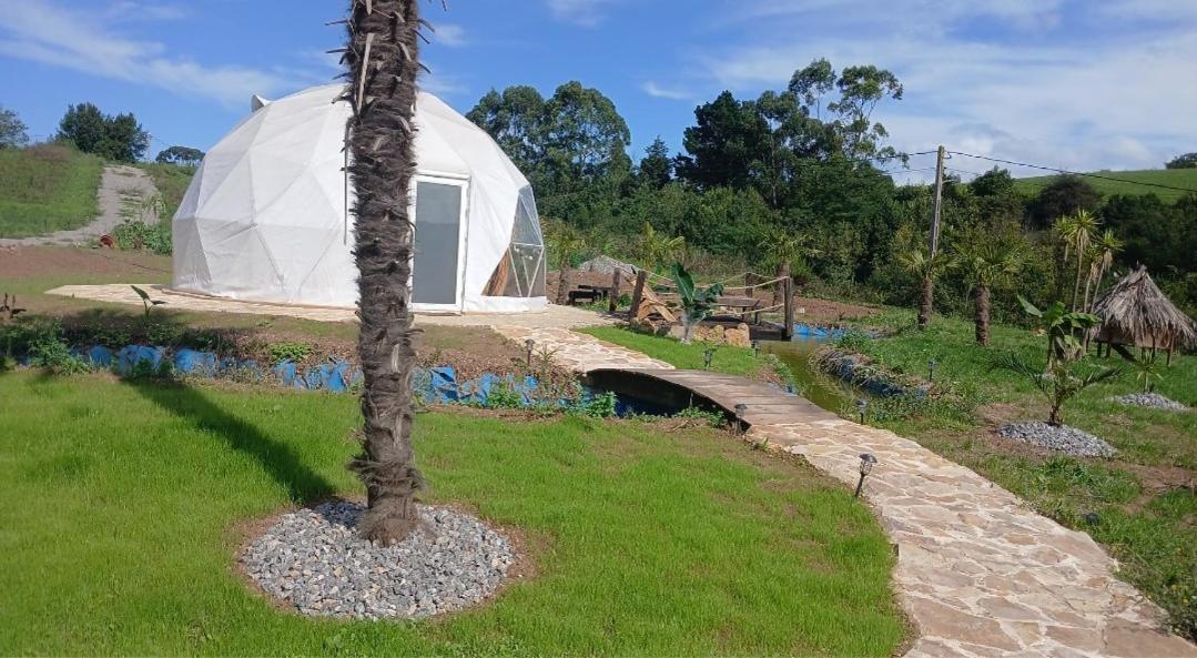Luxury tent Glamping Quintana