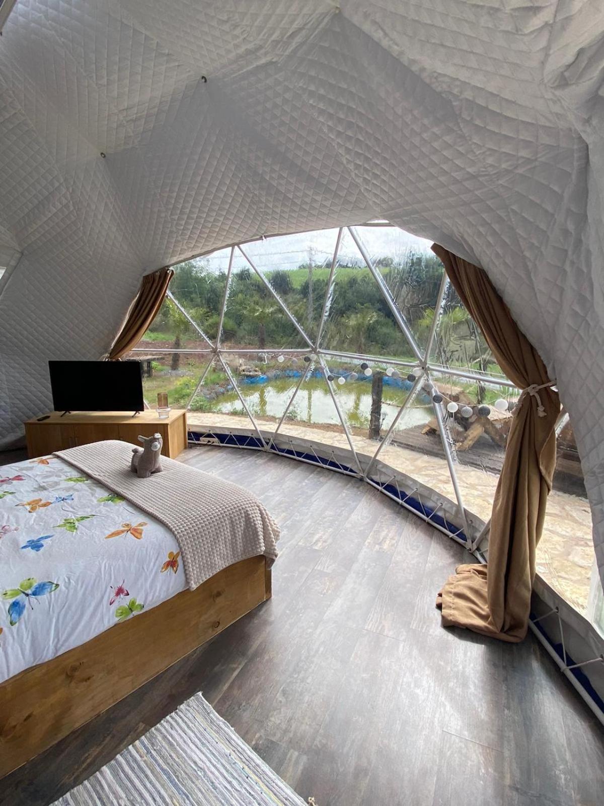 Glamping Quintana Gijon
