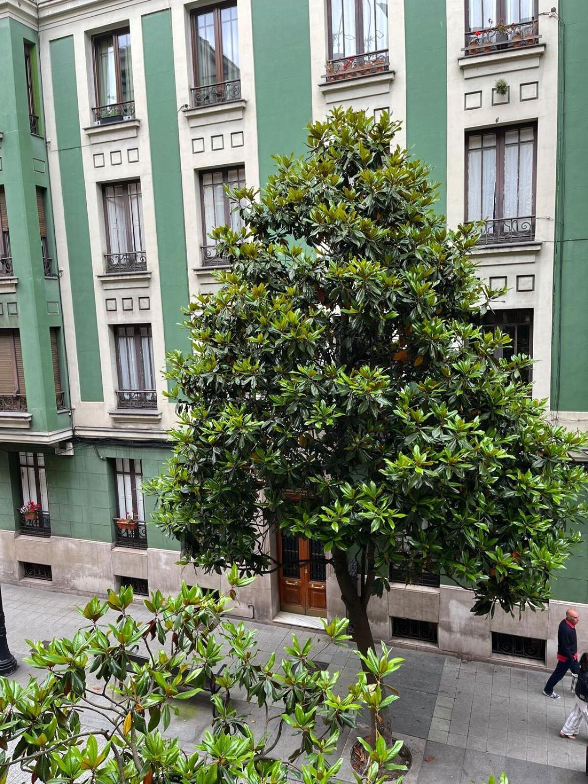 La Ciudadela 1a145 * Gijón