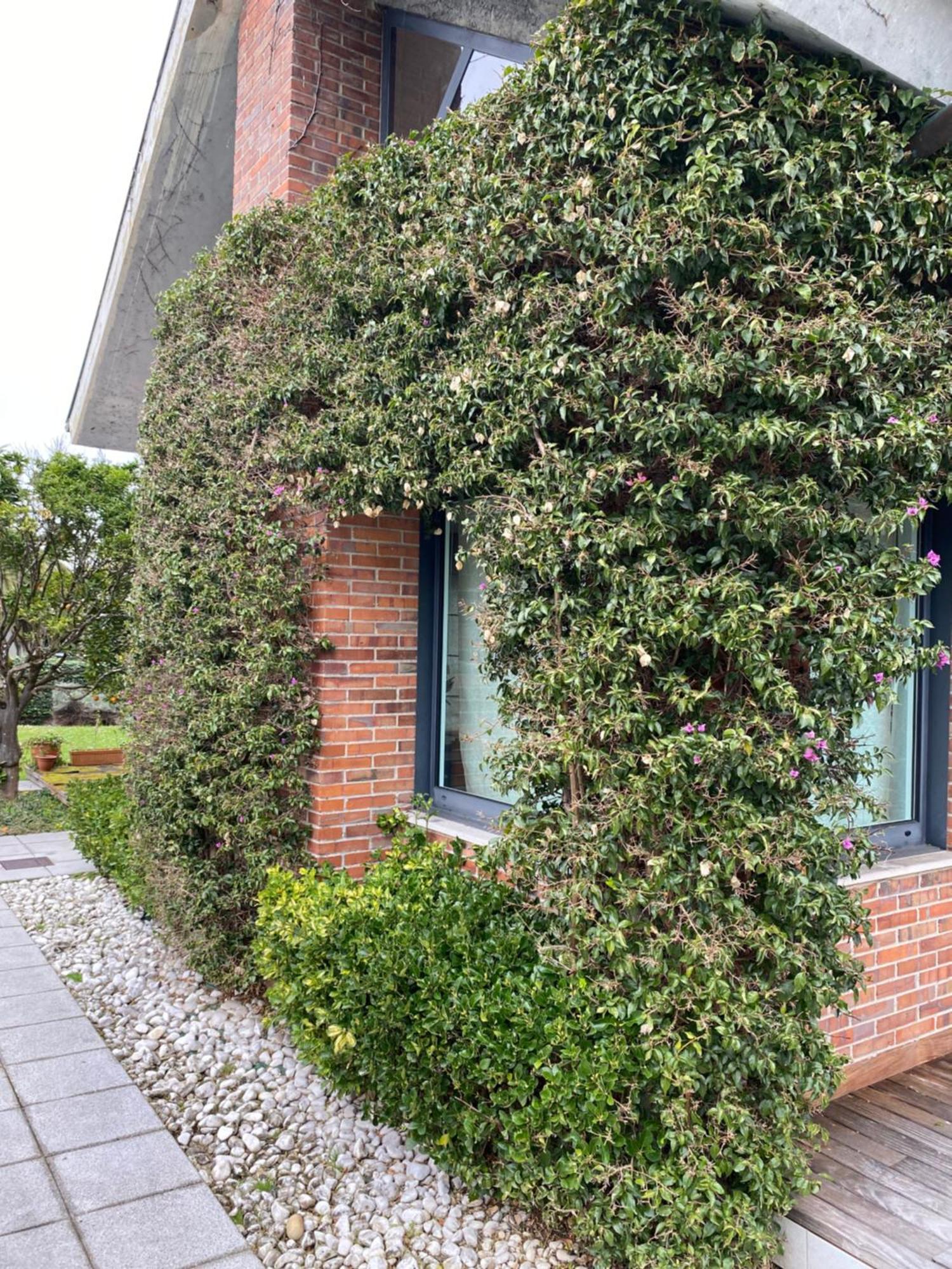 Villa Casa Lampy *