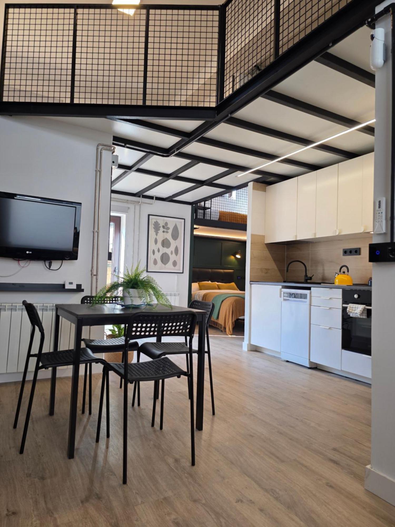 Alava 46 - Industrial Loft For 3 People - Wifi Vut-5321-as