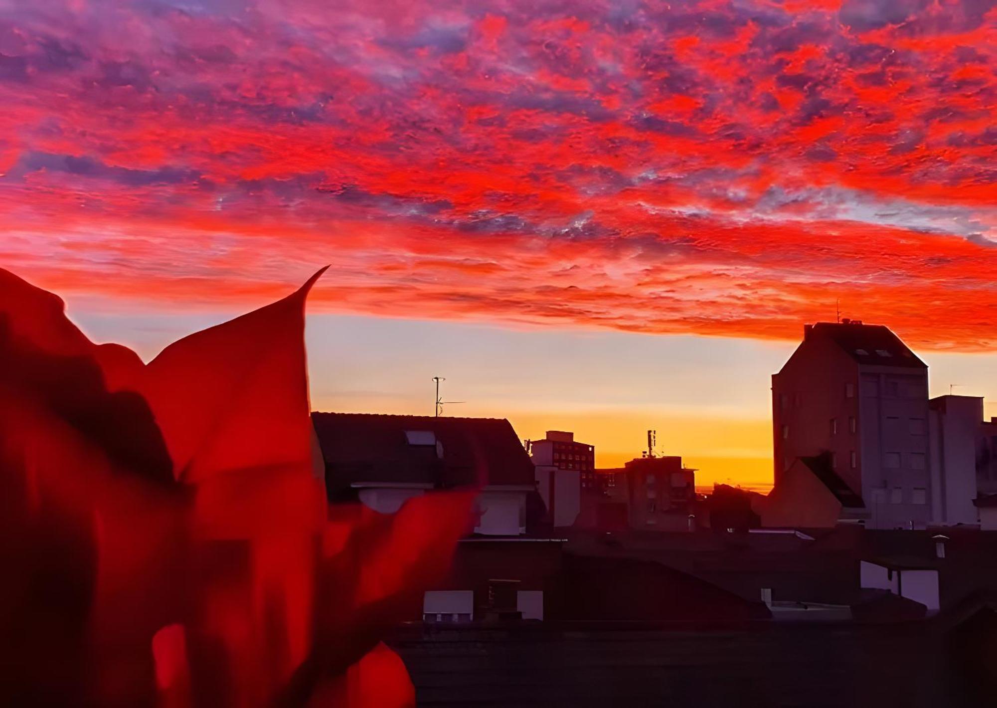 Life Magenta