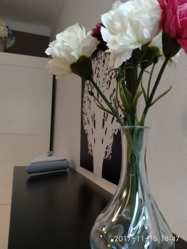 Apartamento Principe House *