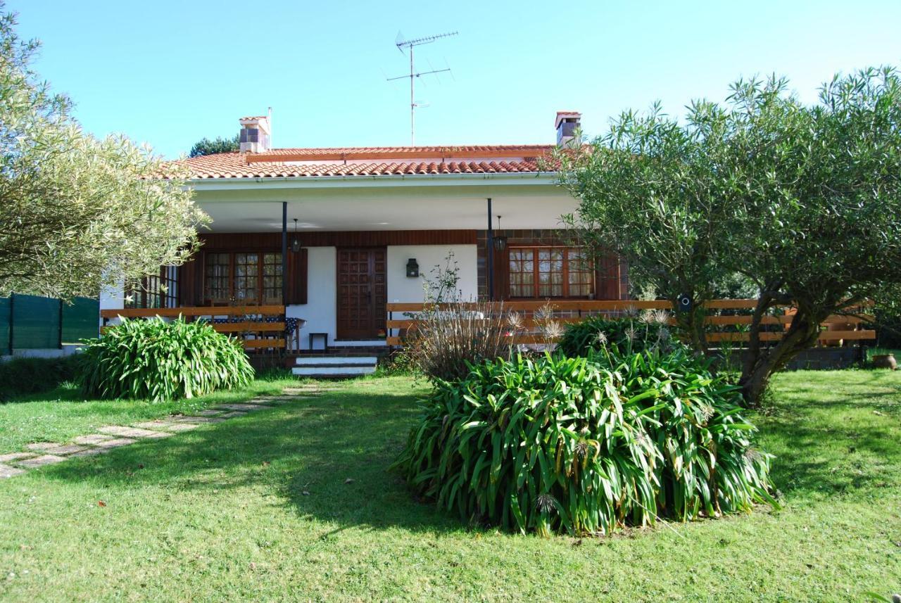 El Olivo Gijón