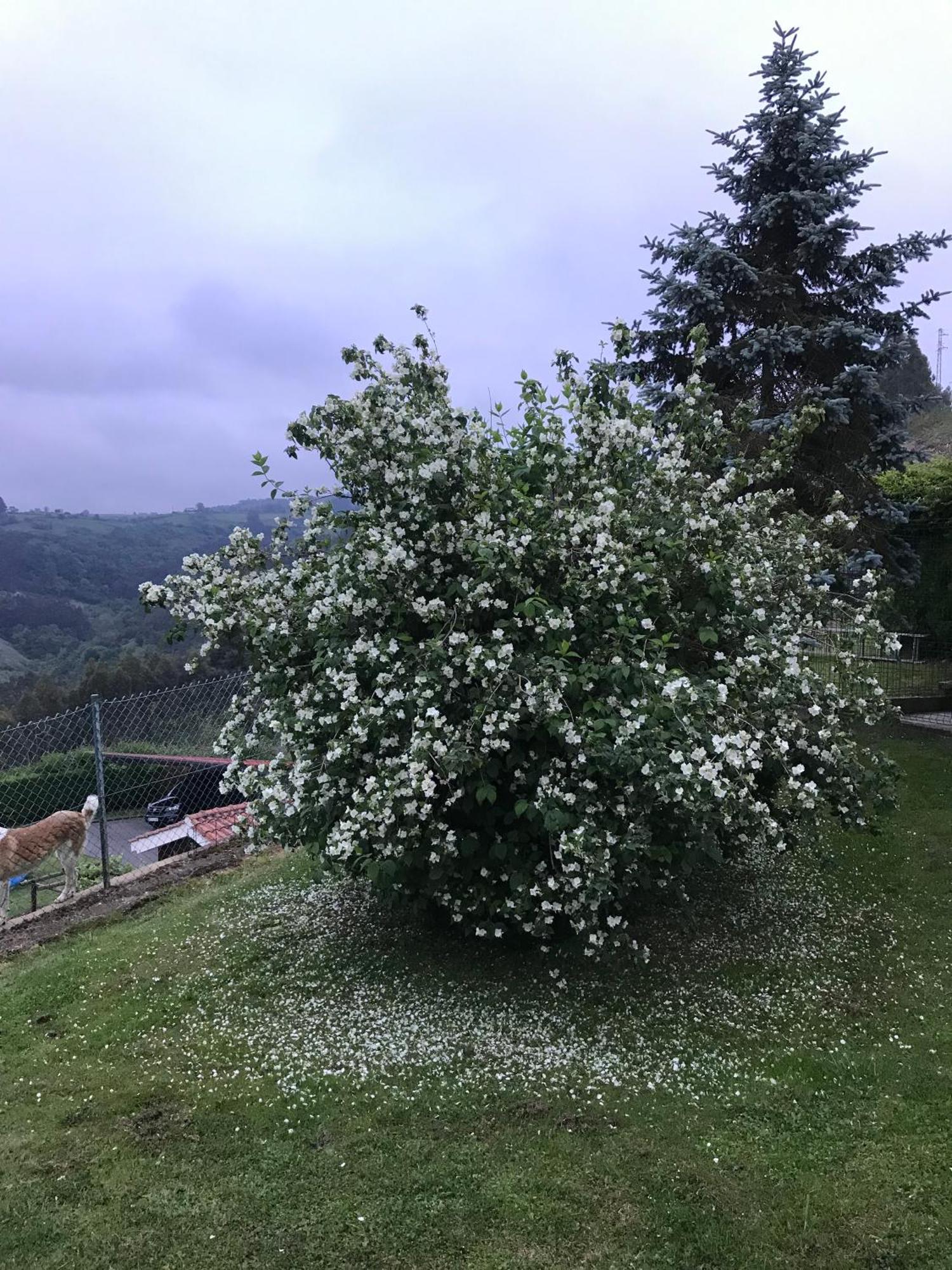 Сasa de vacaciones La Atalaya Gijón